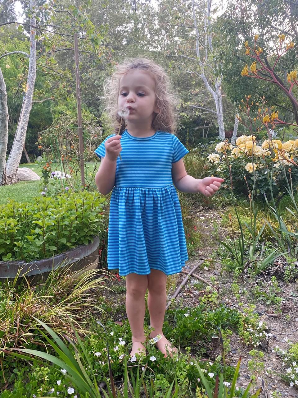 Lulu Dress - Twilight Stripe