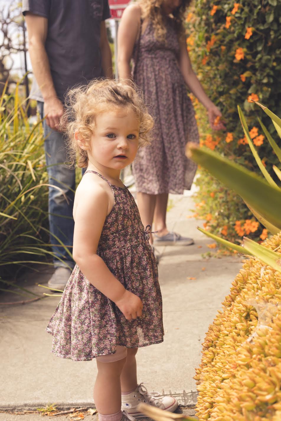 Baby Dandelion Dress - Wildflower