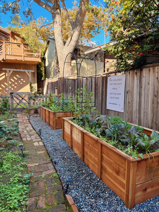 Garden Install 2/9/2026