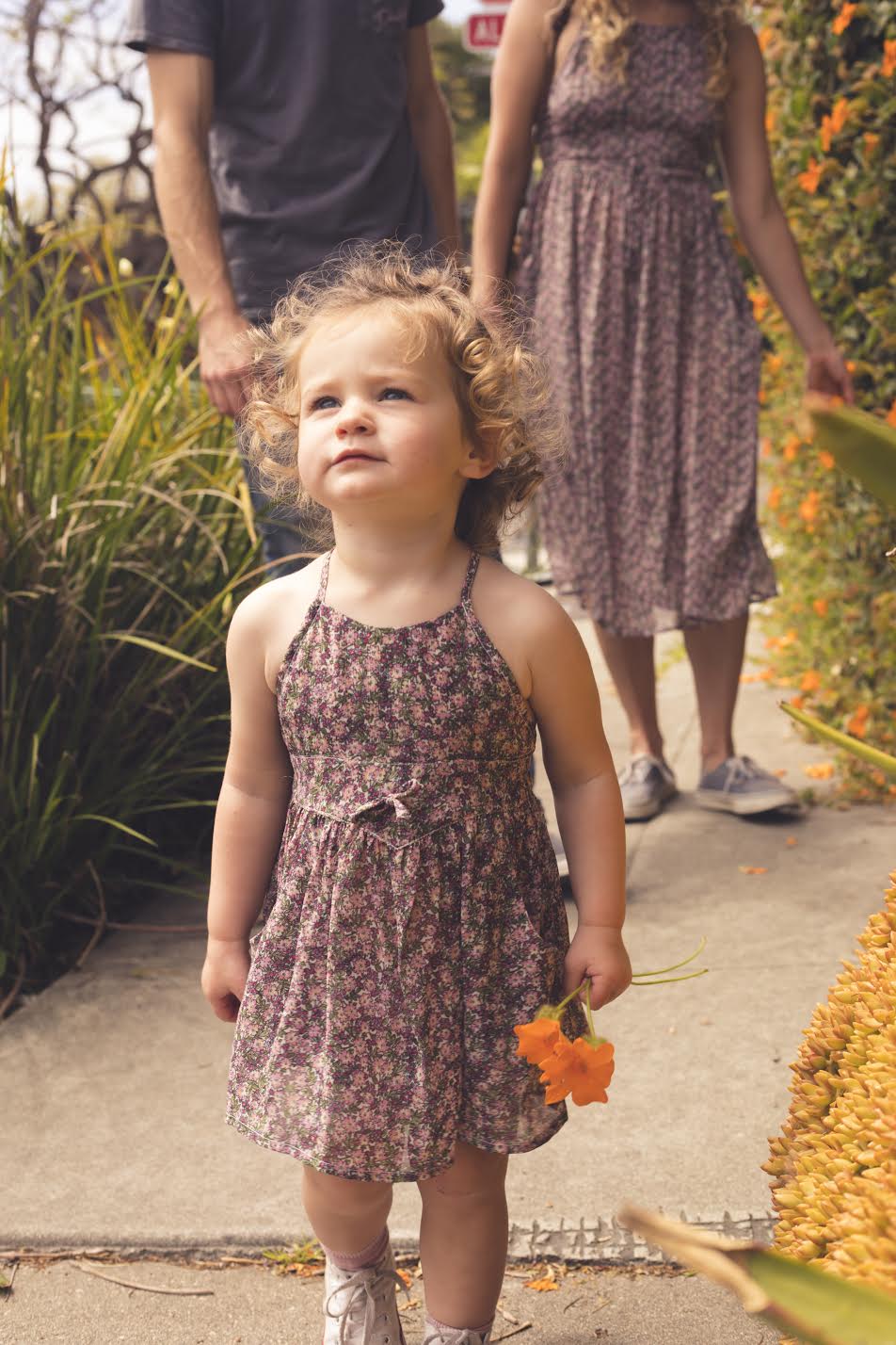 Baby Dandelion Dress - Wildflower